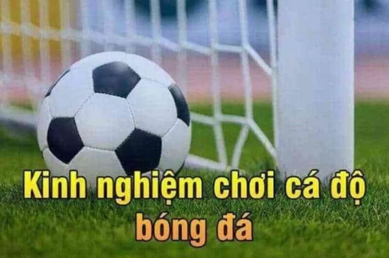 Kinh nghiệm cá cược bóng đá bắt kèo 1 ăn 10 uy tín