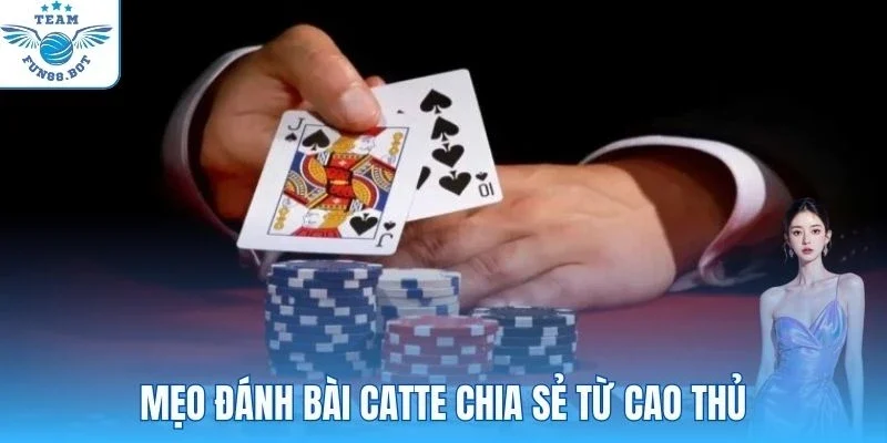 Mẹo đánh bài Catte chia sẻ từ cao thủ