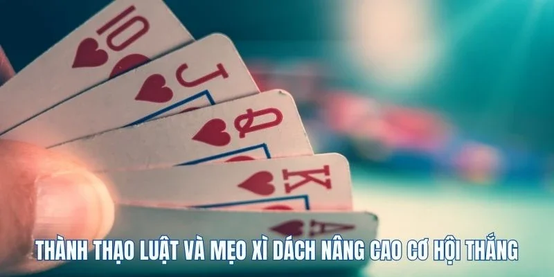 Thành thạo luật và mẹo Xì Dách nâng cao cơ hội thắng